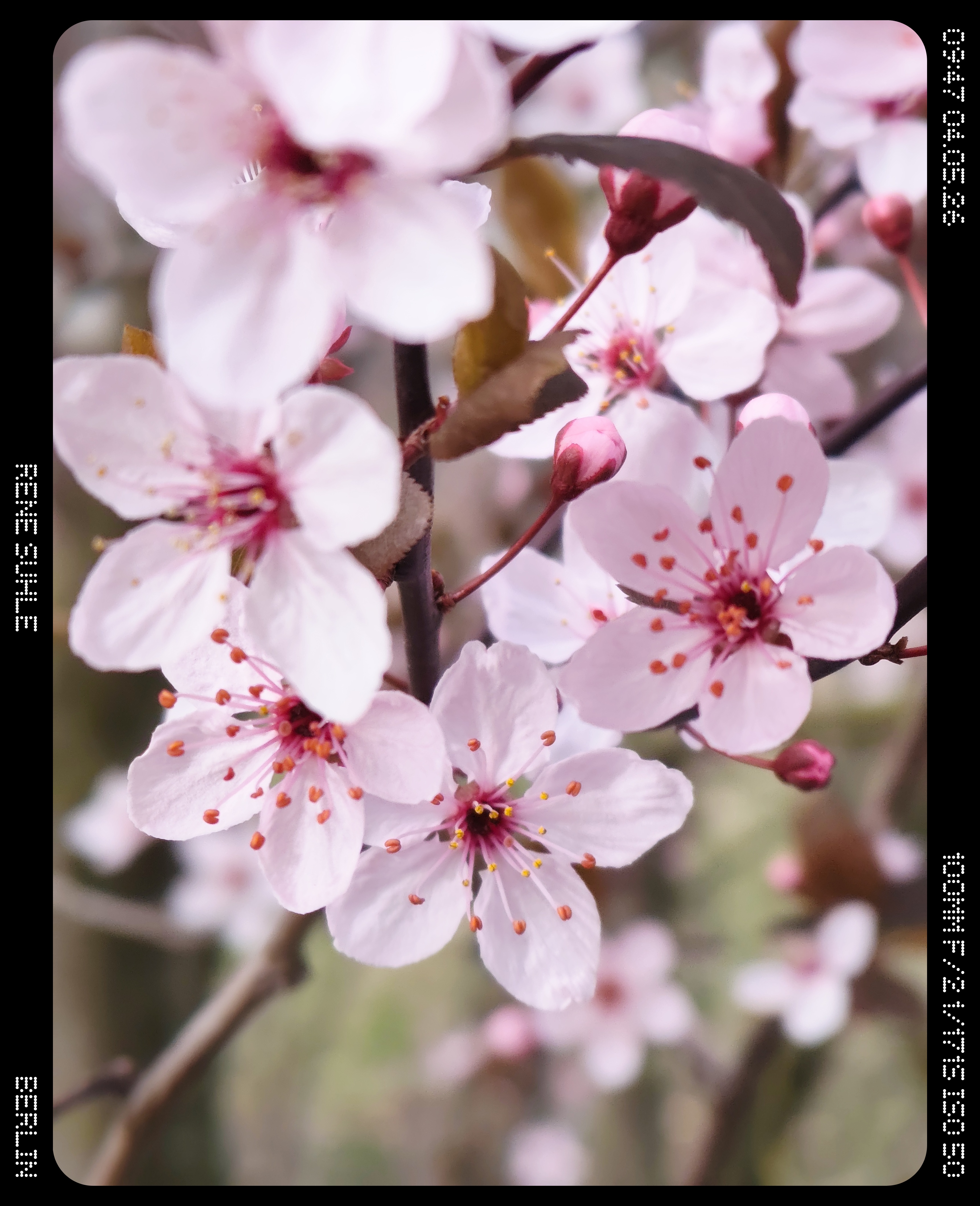 Architektur Natur II